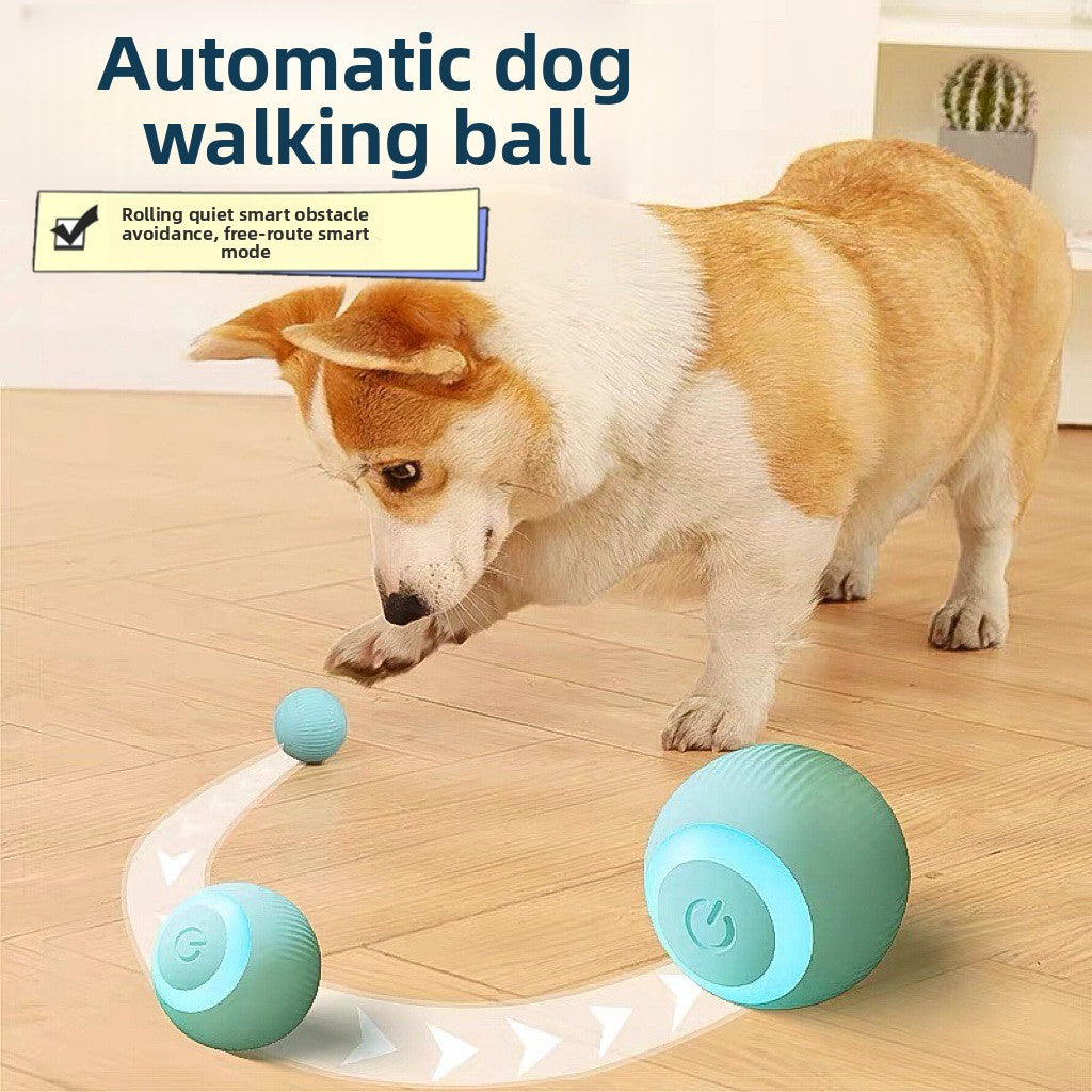 The Magic Pet Roller Ball