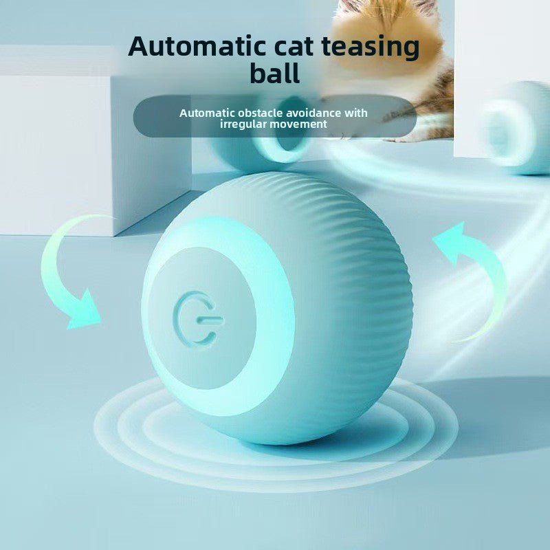 The Magic Pet Roller Ball
