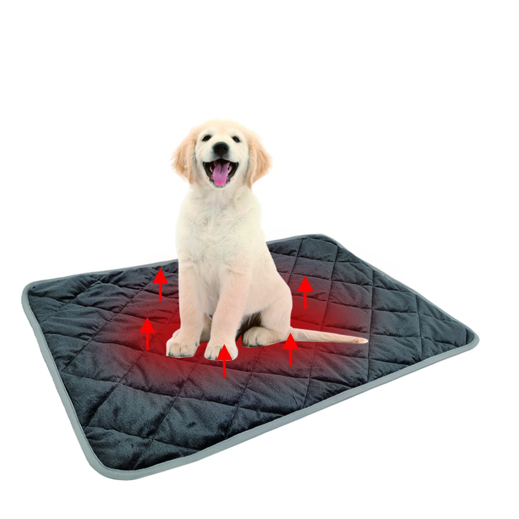 pet mat